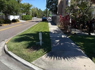 Jessica F.'s turf care service result