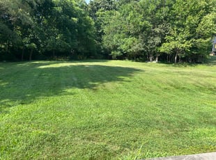 Sydney P.'s lawn service service result