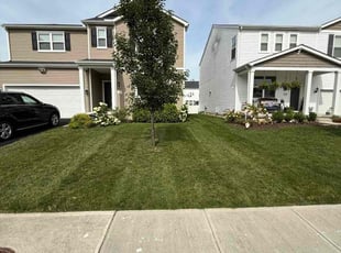 Sherrie B.'s lawn maintenance service result