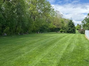 Shawn R.'s lawn care services service result