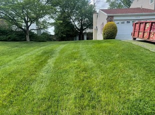 Sandeep S.'s landscaping service result