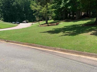 Ted M.'s grass maintenance service result