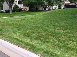 Sterling J.'s turf maintenance service result