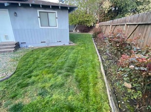 Kelly O.'s lawn care services service result