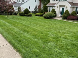 Martina L.'s lawn care services service result