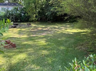 Nichola G.'s Flower Bed Weeding service result