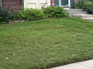 Karen W.'s grass cutting service result