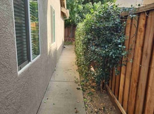 Corey F.'s Bush Trimming service result