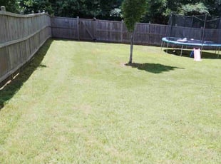 Teena L.'s lawn care services service result