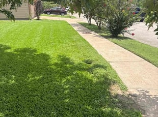 Kelly C.'s lawn care service result