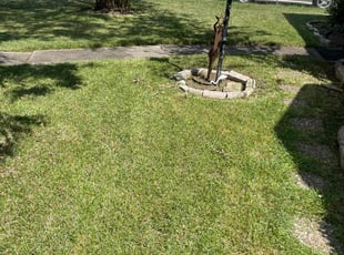 Edward D.'s lawn maintenance service result