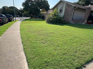 Philip M.'s turf maintenance service result