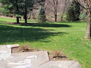 Rebecca C.'s landscape maintenance service result