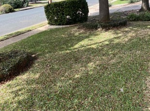 Deoundrea K.'s Leaf Removal service result