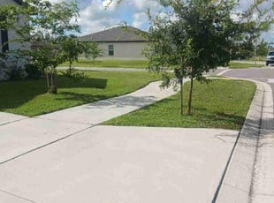 Clark S.'s lawn care service result