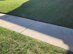 David H.'s grass maintenance service result