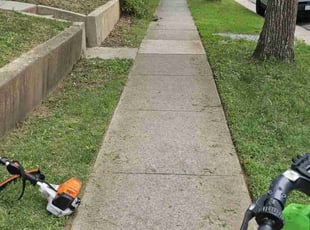 David P.'s lawn service service result