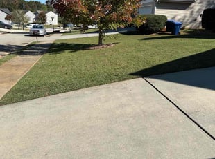 Samuel W.'s grass cutting service result