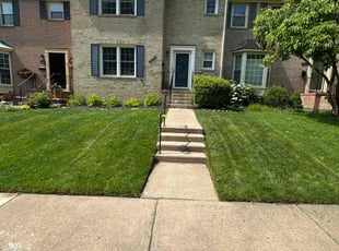Chris A.'s grass cutting service result