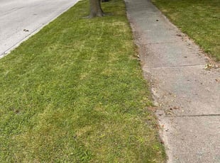 James n.'s lawn care service result