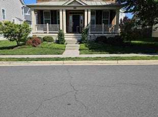 Linda M.'s turf care service result