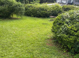 Kevin M.'s lawn maintenance service result