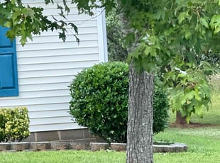 Ladarius F.'s Bush Trimming service result