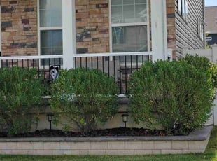 Barbara K.'s Bush Trimming service result