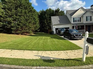 Danny F.'s turf maintenance service result