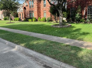 Dennis W.'s lawn care services service result