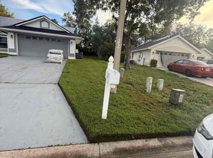 Shawn S.'s grass maintenance service result