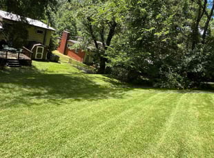 Joshua Q.'s lawn maintenance service result