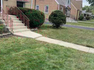 Marilyn D.'s Bush Trimming service result