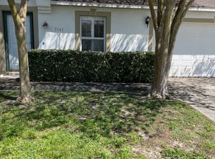 Gary K.'s Bush Trimming service result