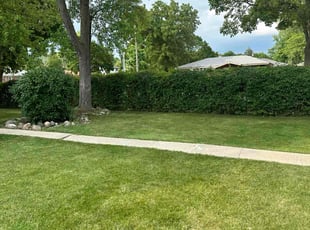 Ronald S.'s lawn maintenance service result