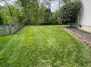 Denise M.'s lawn care service result