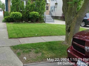 Jovan J.'s lawn maintenance service result