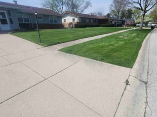 Anthony R.'s lawn service service result