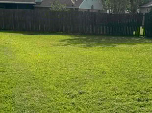 Anthony P.'s turf maintenance service result