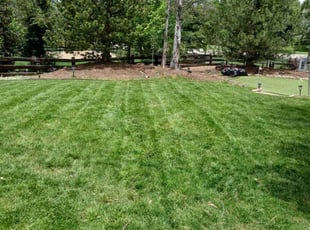 Barbara P.'s lawn maintenance service result