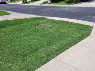 Brian G.'s lawn service service result