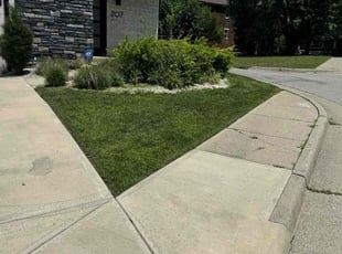 Nancy J.'s lawn maintenance service result