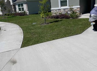 Janet T.'s grass maintenance service result