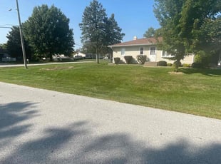 Wendy S.'s lawn care service result