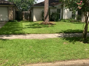 Missy P.'s lawn service service result