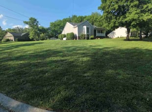 Michael Z.'s grass cutting service result