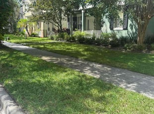 Mark W.'s grass maintenance service result