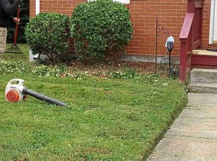 Lloyd F.'s Bush Trimming service result