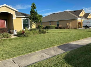 Rachel M.'s turf care service result