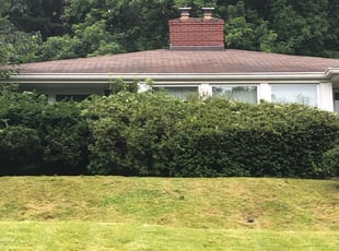 Terri C.'s Bush Trimming service result